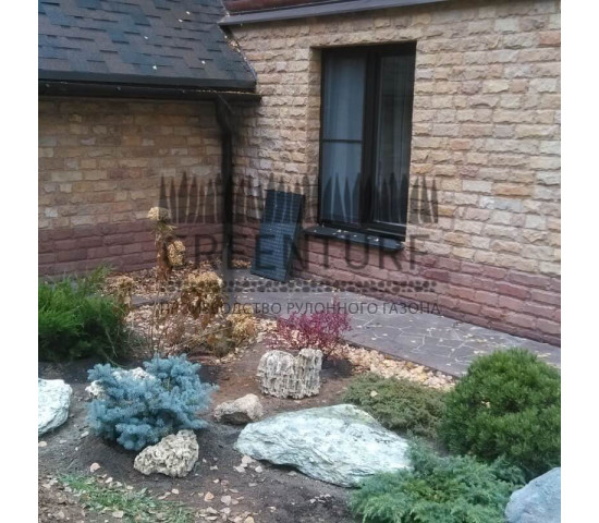 Озеленение и благоустройство территории - фото - 6