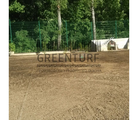 Озеленение участка загородного дома - фото - 7