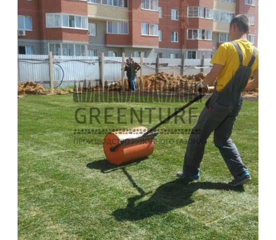 Озеленение придомовой территории - фото - 12